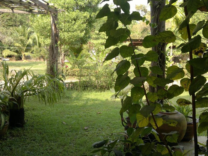The Mangrove Hideaway Kohchang Koh Chang Zewnętrze zdjęcie