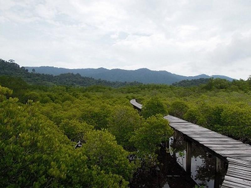 The Mangrove Hideaway Kohchang Koh Chang Zewnętrze zdjęcie